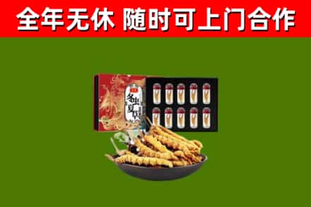 绥化回收冬虫夏草价格