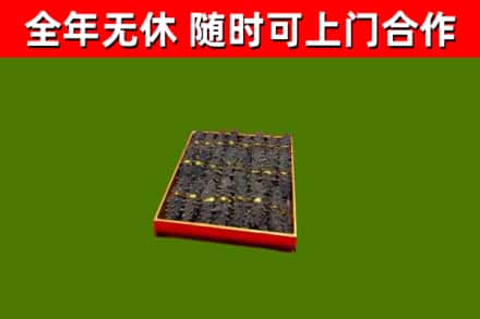 绥化烟酒回收海参.jpg